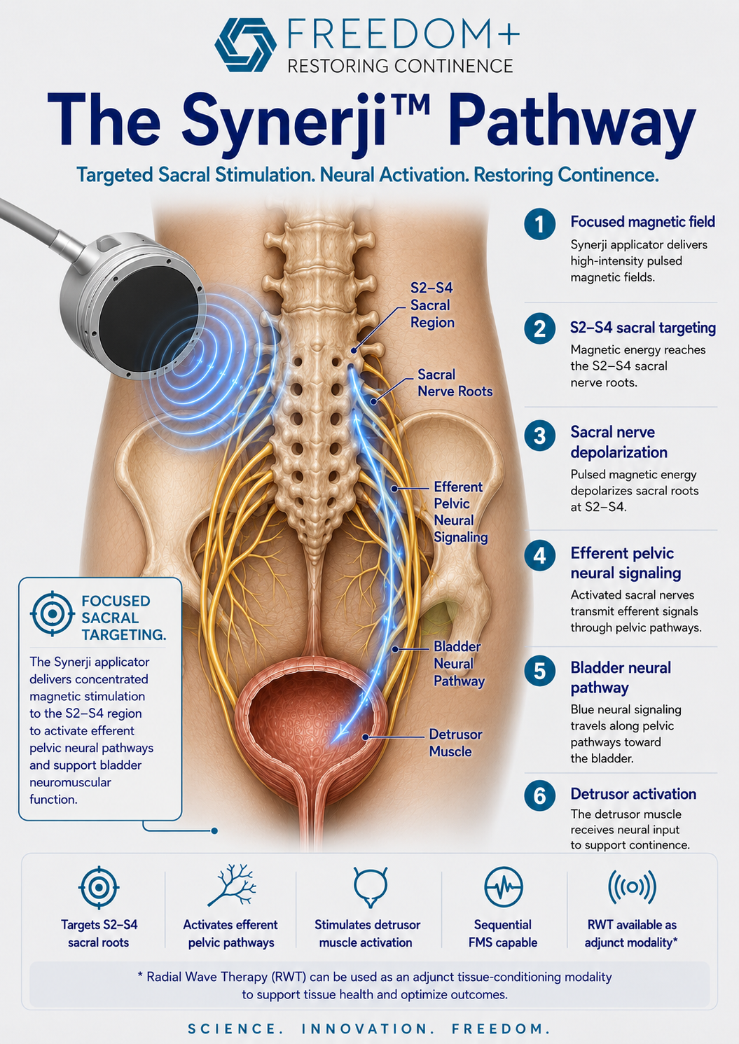 Synergi™ Pro — sacral stimulation and neuro-rehabilitation pathway diagram