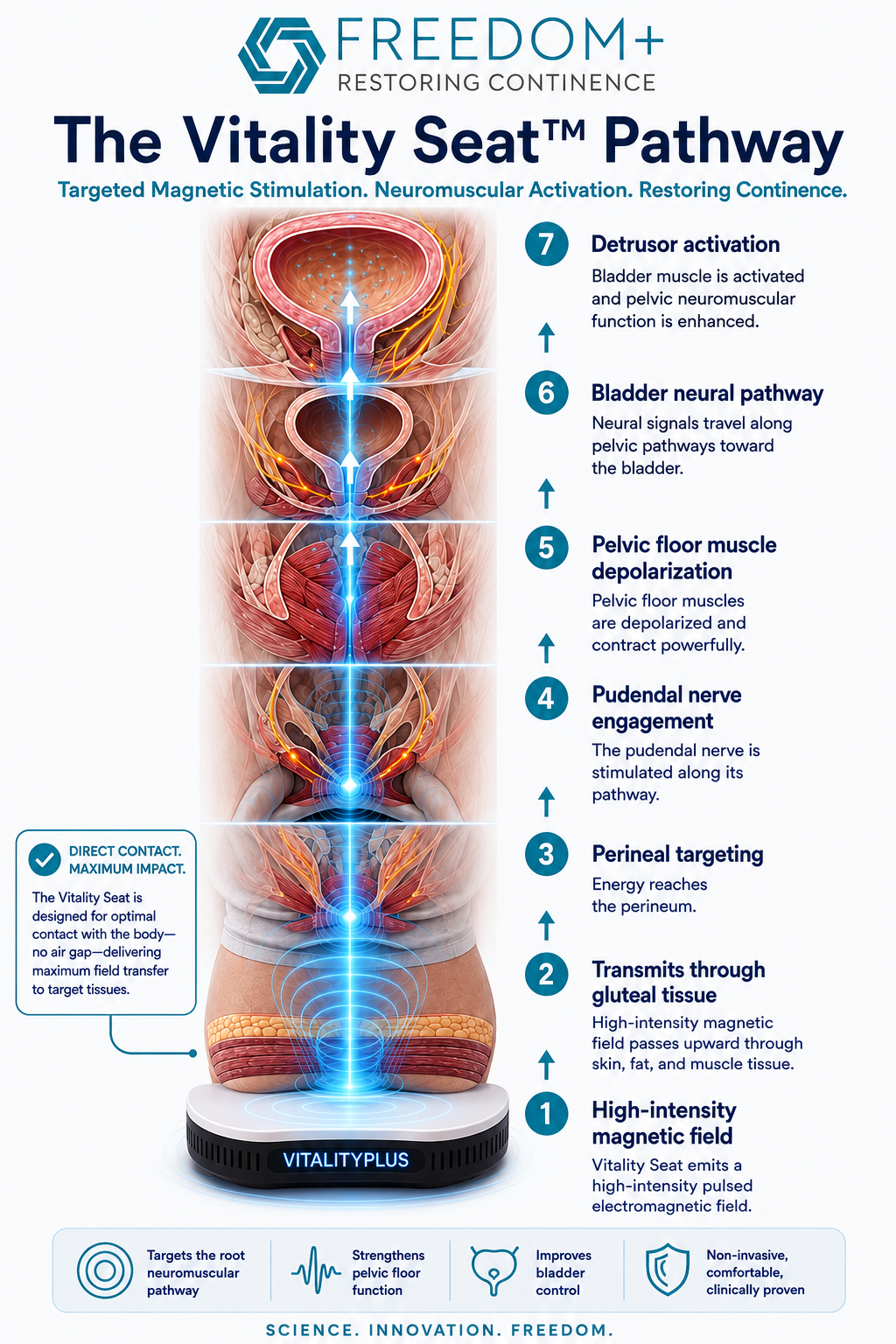 Vitality Seat™ — pelvic floor magnetic stimulation pathway diagram